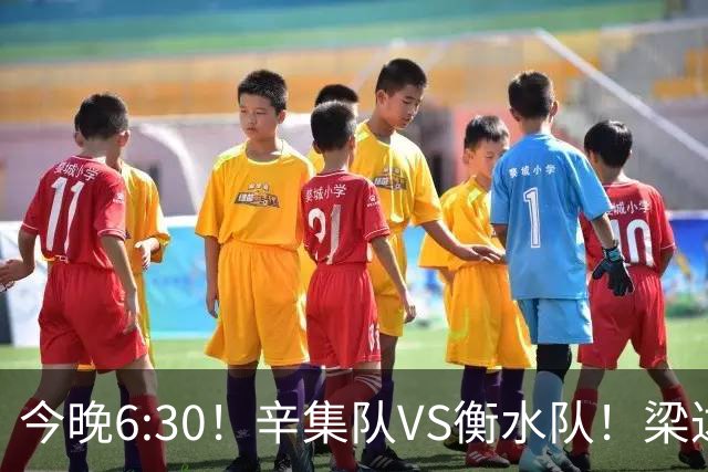 今晚6:30！辛集队VS衡水队！梁达、金相润现场助威，锁定直播→
