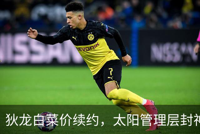 狄龙白菜价续约，太阳管理层封神了